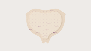 Mepilex Border Heel dressing for wound prevention and